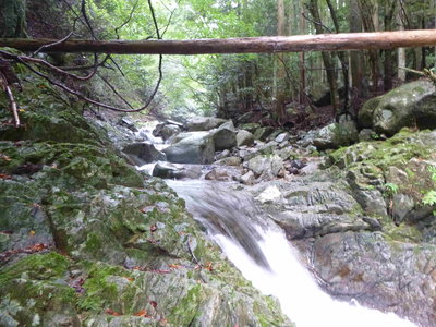 01入渓地点(1).JPG (778.93 KiB) 閲覧された回数 5960 回 入渓地点