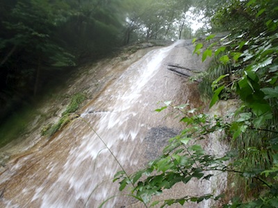 上部はすべすべの滑!