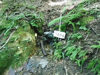 長命水.JPG (289.54 KiB) 閲覧された回数 9692 回 ● 長命水落葉がたまってるね。