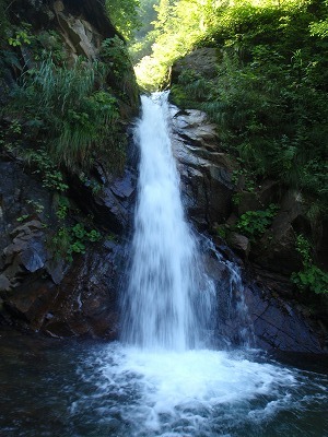 いきなりの5m滝。左のルンゼから巻いたのだが…