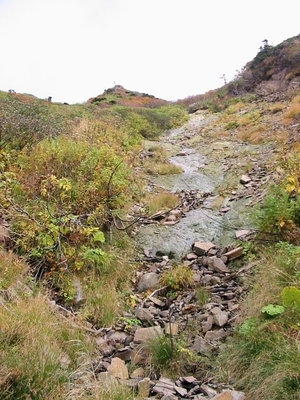 稜線直下　緑色のナメ