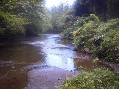 妙齢の女性と出会った入渓点近くのナメ