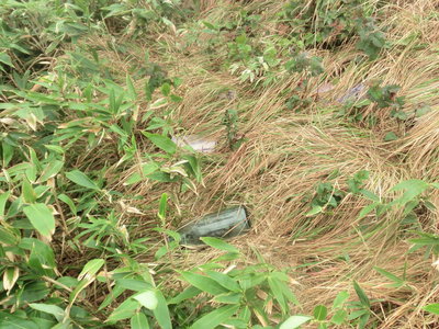 【つわものどもが夢の跡（ロボット雨量計残骸）】