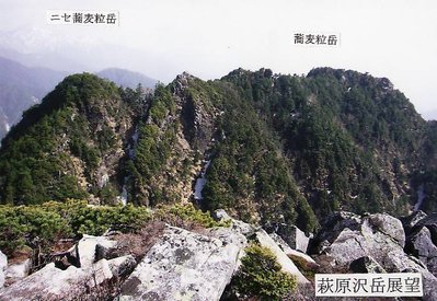 ニセ蕎麦粒と蕎麦粒