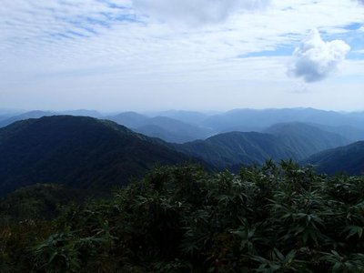 P9220475_640.jpg (31.83 KiB) 閲覧された回数 3602 回 中央分水嶺の稜線が続く。