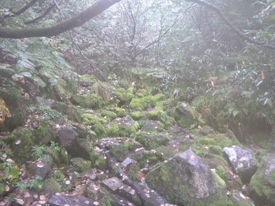 06登山口近くの湧水地2.jpg (717.63 KiB) 閲覧された回数 6462 回 下山途中にてー湧水地―