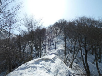 登りの尾根