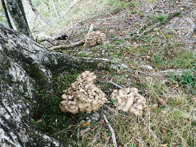 ●有りましたね