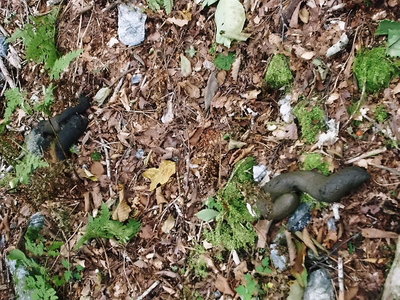 ●ダレの？人の５倍はあるゼヨ