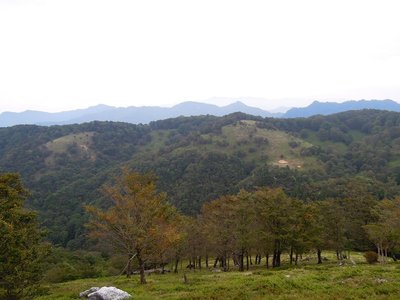 この台風では、まだ葉は持つかな？今年の紅葉はどうだろう。