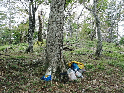 マッタリと.JPG (375.22 KiB) 閲覧された回数 8781 回 ● 時間は齢重ねるほどに、早く過ぎて行きますね。