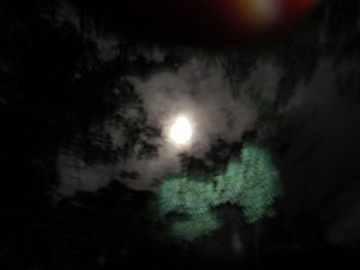 満月だって覗きに来たよ~♪