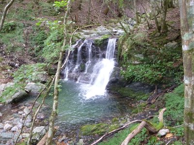 1P1000415.jpg (910.86 KiB) 閲覧された回数 4971 回 シャワーで登ると楽しそうな滝