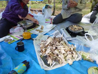 1P1000439.jpg (871.83 KiB) 閲覧された回数 4964 回 大量のマイタケ てんぷらに焼きマイタケに