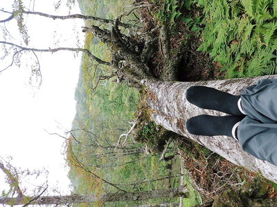 寝る.JPG (274.49 KiB) 閲覧された回数 9099 回 ● 果報は寝て待て、シュクリンさんのレポでイメージが湧きましたです。次のイベントもどうぞですよね。