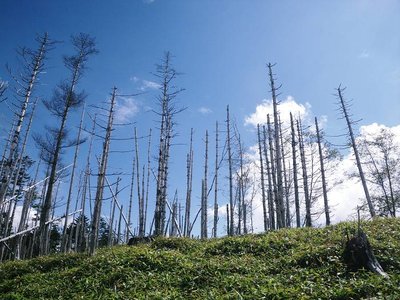 IMGP2826_sh01s.JPG (87.92 KiB) 閲覧された回数 3990 回 笹山へ