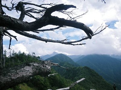 IMGP2862_sh01s.JPG (60.79 KiB) 閲覧された回数 3988 回 難路の気配