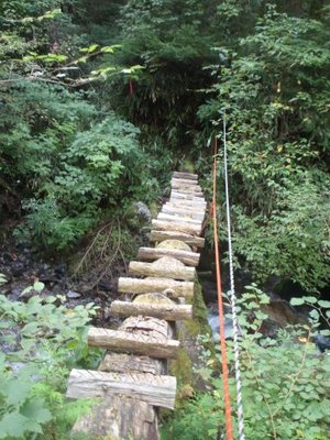 あぶなっかしい橋