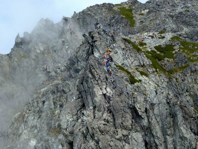 カニのヨコバイの渋滞状況