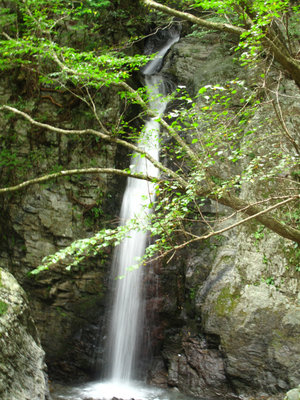 IMG_5990.jpg (417.16 KiB) 閲覧された回数 7391 回 白糸滝