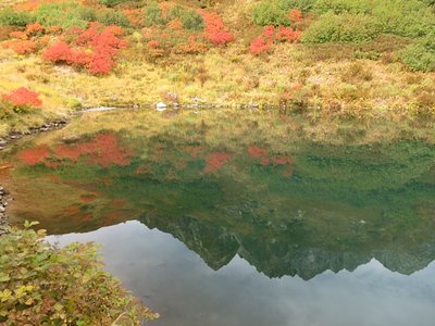 okumata0573.jpg (174.2 KiB) 閲覧された回数 5124 回 奥又白池に映る前穂東壁