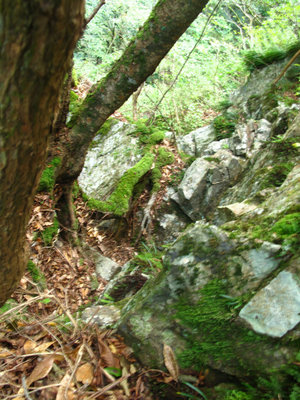 IMG_5958.jpg (407.2 KiB) 閲覧された回数 6022 回 行き詰った崖