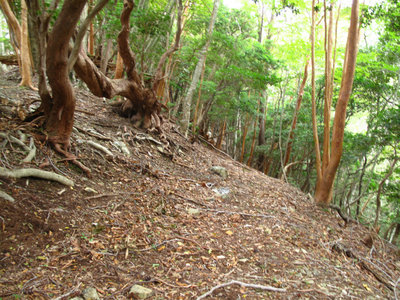 IMG_5995.jpg (483.72 KiB) 閲覧された回数 6023 回 水平道