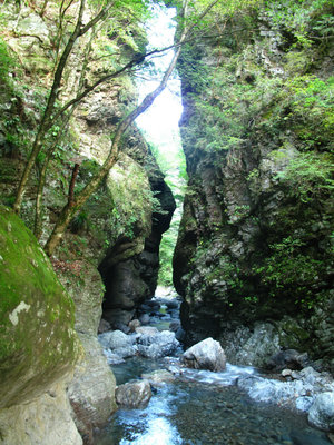 IMG_5956.jpg (484.62 KiB) 閲覧された回数 5987 回 行合