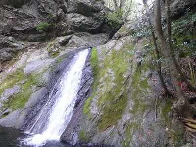 P1060435.jpg (113.88 KiB) 閲覧された回数 4562 回 10m滝