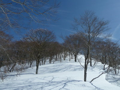 P1210手前。いい尾根です。