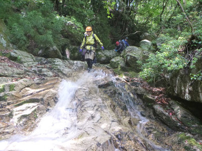 P1100291.jpg (130.23 KiB) 閲覧された回数 10828 回 バーチャリさんも楽しそう
