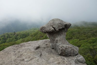 DSC02377.JPG (220.52 KiB) 閲覧された回数 32128 回 きのこ岩