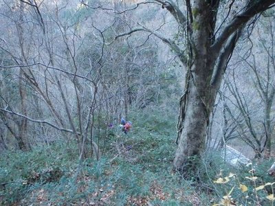 PC030008_512.jpg (65.69 KiB) 閲覧された回数 4898 回 ヤブ尾根