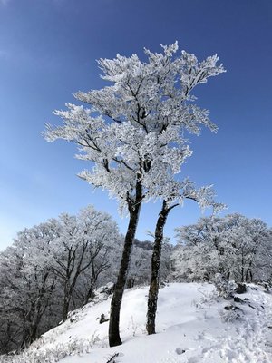 IMG_0166.JPG (140.11 KiB) 閲覧された回数 5750 回 樹氷のお出迎え