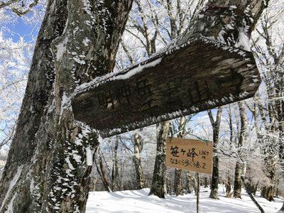 IMG_0221.JPG (359.33 KiB) 閲覧された回数 5752 回 笹ヶ峰に到着