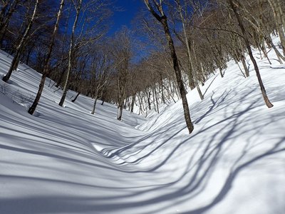 真の谷.jpg (322.73 KiB) 閲覧された回数 7326 回 カタクリ峠への道
