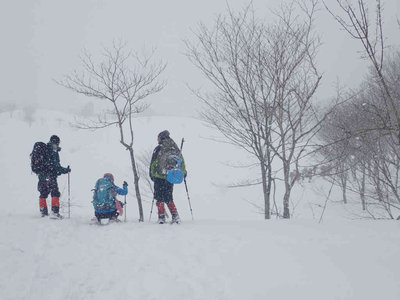 P2260121.jpg (55.38 KiB) 閲覧された回数 7130 回 雪が本降りに