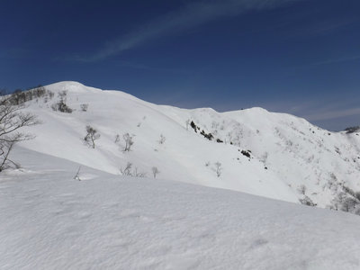 DSCF0621.jpg (189.24 KiB) 閲覧された回数 10792 回 白倉岳