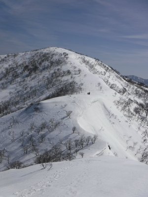 DSCF0638.jpg (176.54 KiB) 閲覧された回数 10562 回 金糞岳への稜線