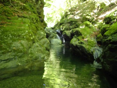 P8050015.jpg (58.81 KiB) 閲覧された回数 1856 回 雰囲気のいい淵