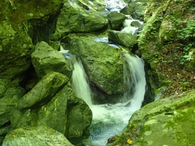 P8050018.jpg (94.23 KiB) 閲覧された回数 1857 回 2条岩間滝が行く手を阻む