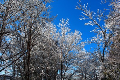 IMG_0502.jpg (859.38 KiB) 閲覧された回数 5483 回 霧氷