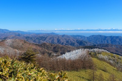 IMG_0561.jpg (638.07 KiB) 閲覧された回数 5473 回 南アルプス 横川山から