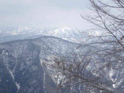 妙理山から安蔵山を眺める