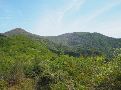 丈競山と浄教寺山.JPG (270.15 KiB) 閲覧された回数 3940 回 丈競山(左)と浄法寺山(右)