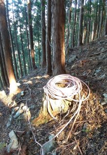 上の林業ロープs.jpg
