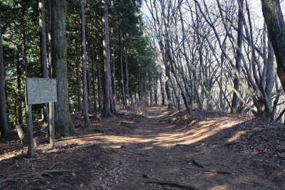 整備された道.jpg (682.35 KiB) 閲覧された回数 5960 回 整備された道