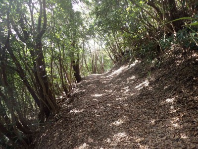 P1250061.jpg (137.49 KiB) 閲覧された回数 8057 回 長井坂