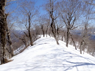 尾根歩き.jpg (585.24 KiB) 閲覧された回数 12175 回 快適な尾根