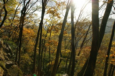 DSC04971.jpg (242.96 KiB) 閲覧された回数 13073 回 祝福の青空